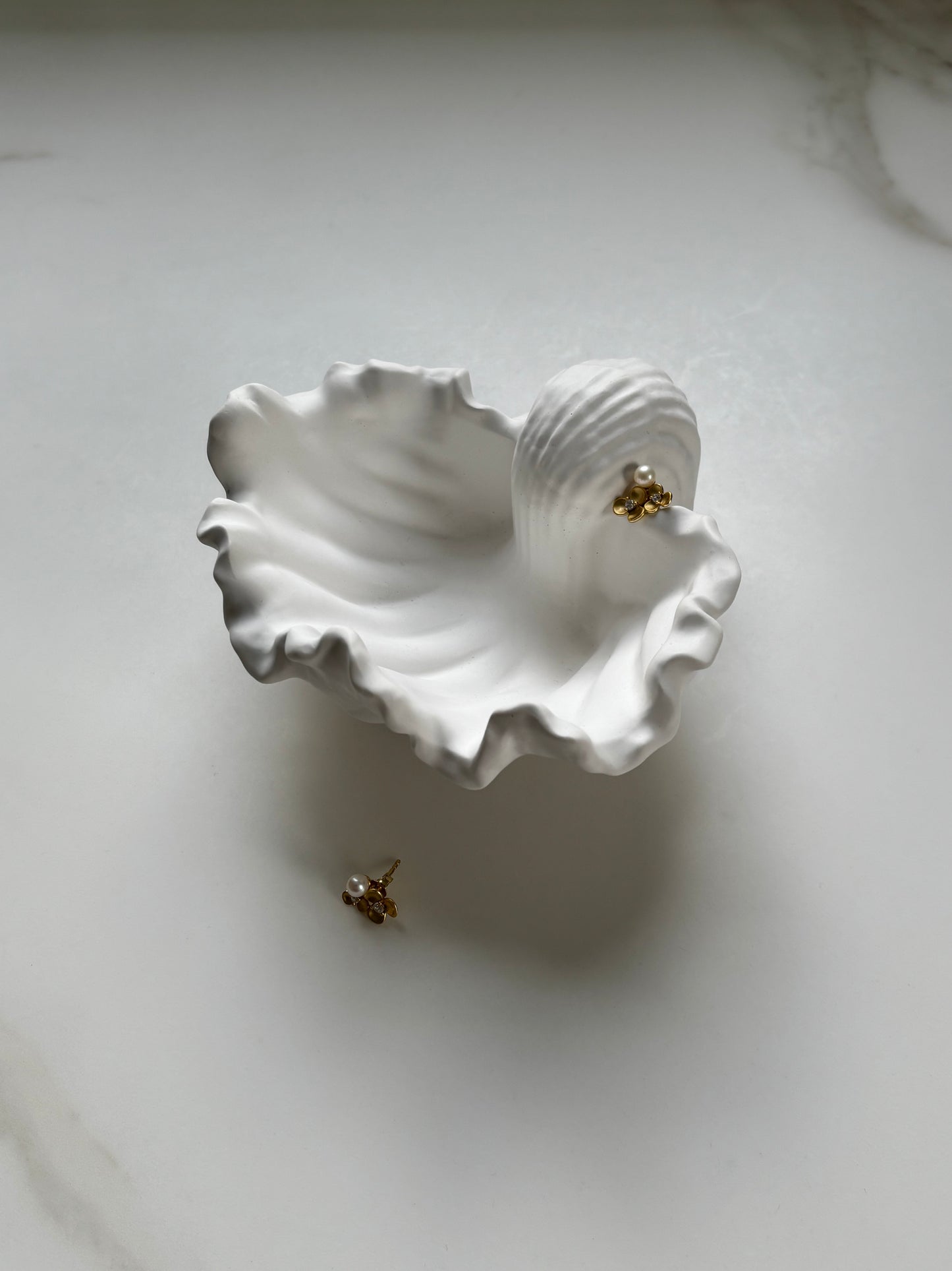 Conch Shell Jewellery Dish