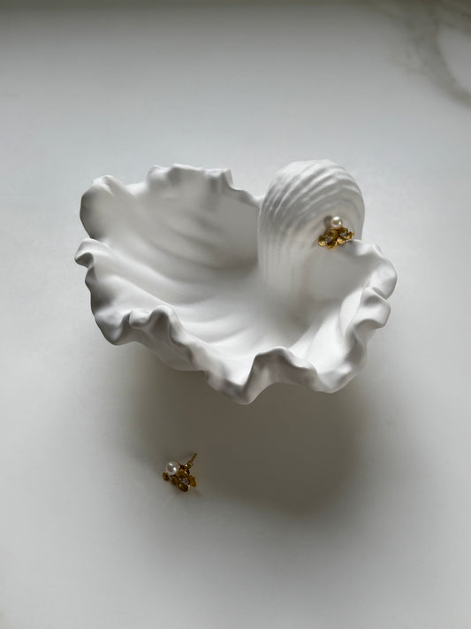 Conch Shell Jewellery Dish