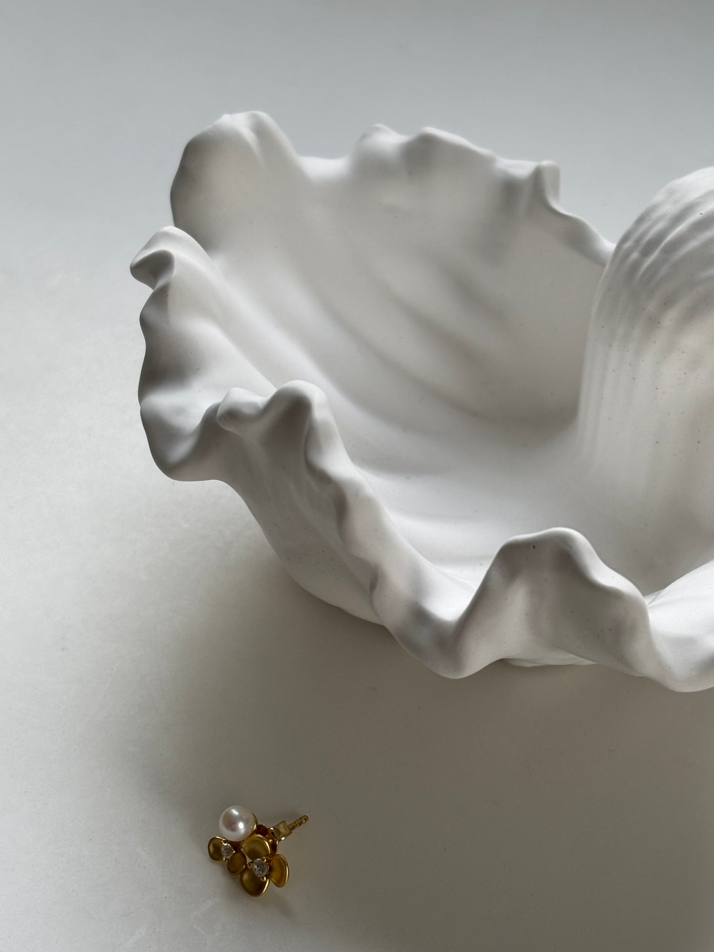 Conch Shell Jewellery Dish