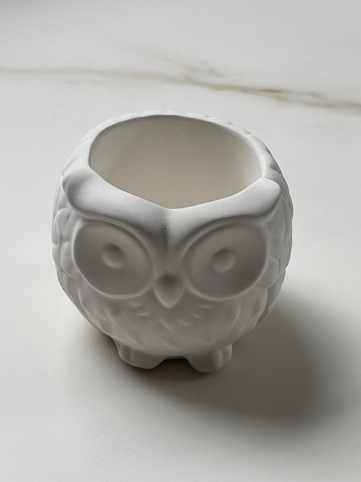 Paint Your Own Concrete Animals | Rabbit, Owl & Tortoise