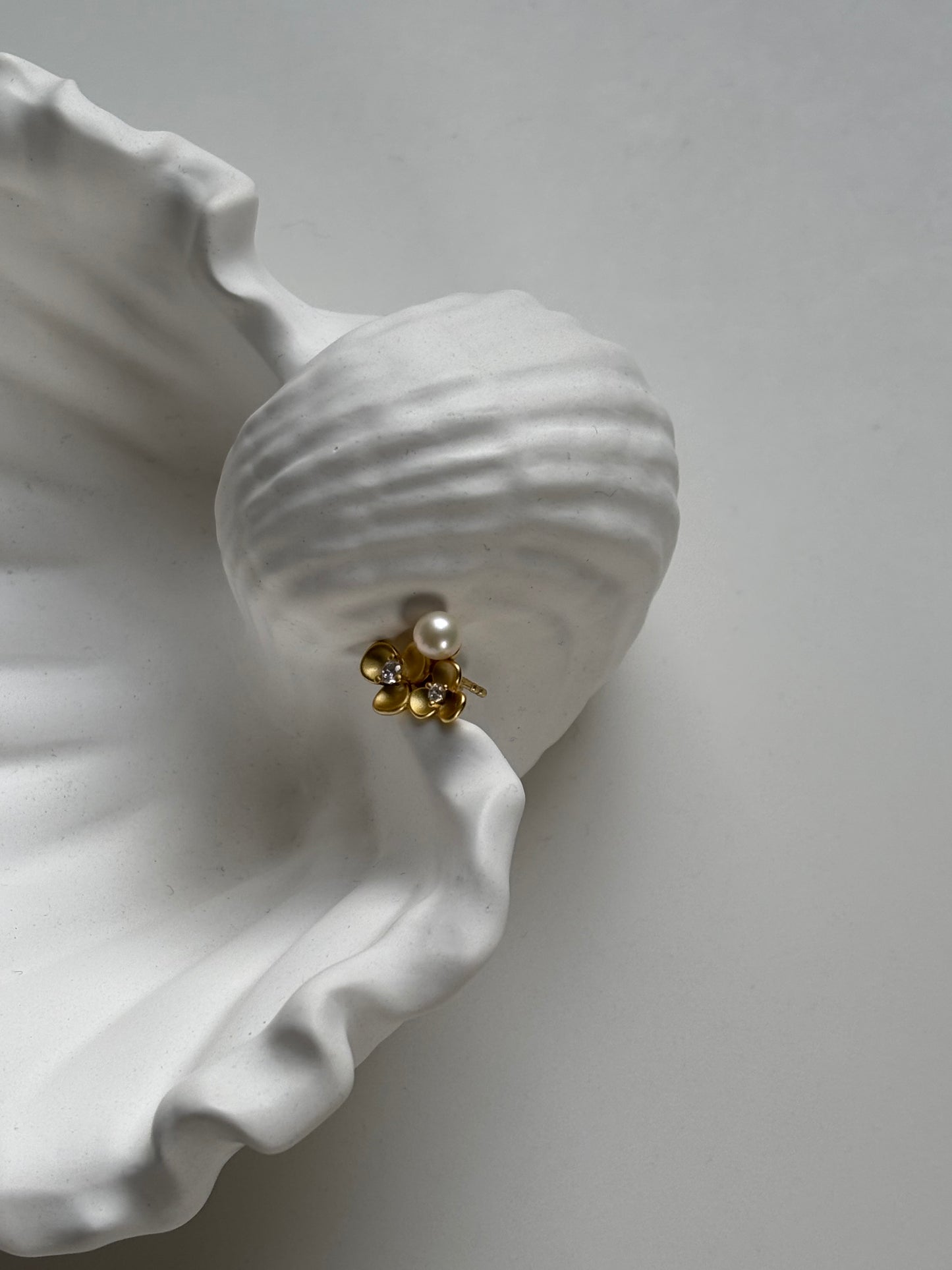 Conch Shell Jewellery Dish